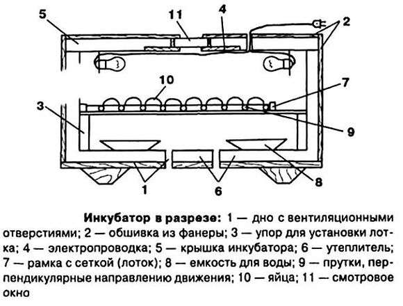 Inkubator