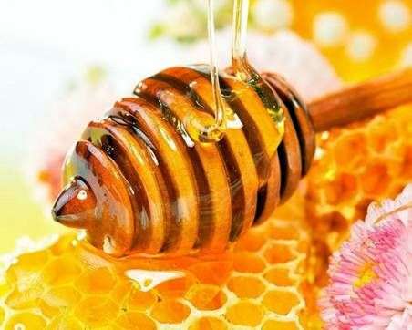 Therapeutische Eigenschaften von Honig