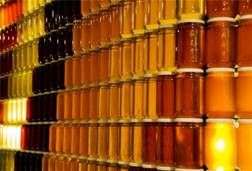 Wie man Honig speichert?